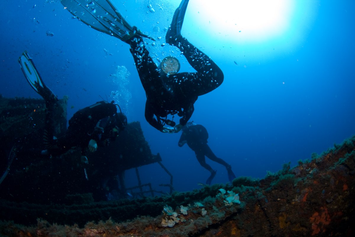 Wreck Diver.jpg